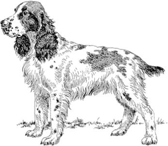 Иллюстрация к книге — Алый. С вопросами и ответами для почемучек [i_049.jpg]