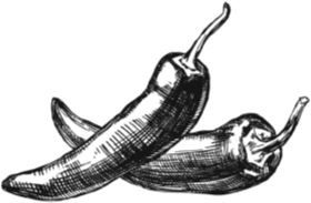 Иллюстрация к книге — Алый. С вопросами и ответами для почемучек [i_060.jpg]