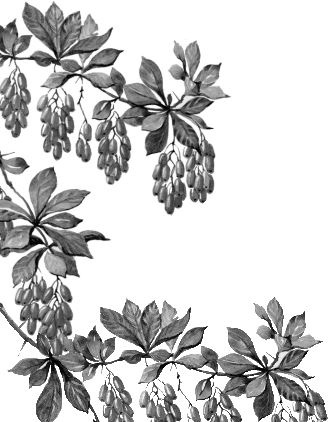 Иллюстрация к книге — Алый. С вопросами и ответами для почемучек [i_061.jpg]