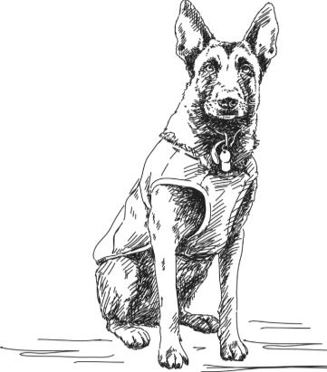 Иллюстрация к книге — Алый. С вопросами и ответами для почемучек [i_062.jpg]