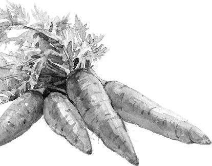 Иллюстрация к книге — Алый. С вопросами и ответами для почемучек [i_075.jpg]