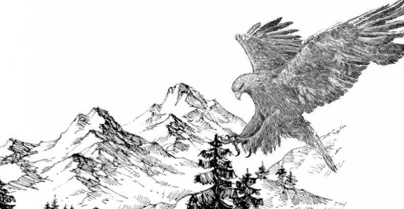 Иллюстрация к книге — Алый. С вопросами и ответами для почемучек [i_085.jpg]