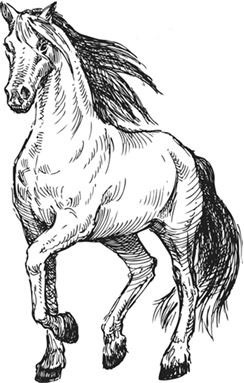 Иллюстрация к книге — Алый. С вопросами и ответами для почемучек [i_087.jpg]