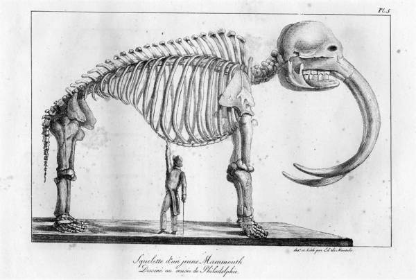 Иллюстрация к книге — Шестое вымирание [i_005.jpg]