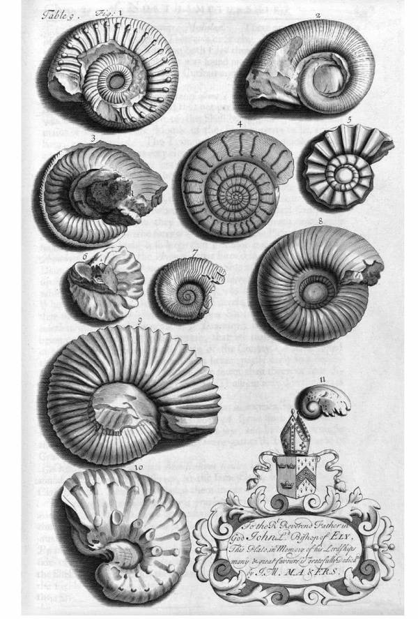 Иллюстрация к книге — Шестое вымирание [i_016.jpg]