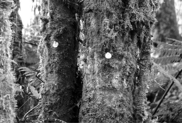 Иллюстрация к книге — Шестое вымирание [i_028.jpg]