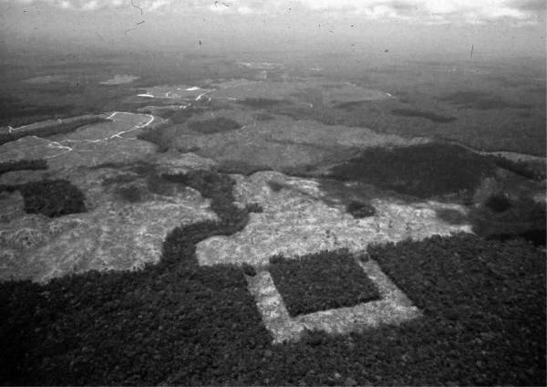 Иллюстрация к книге — Шестое вымирание [i_030.jpg]