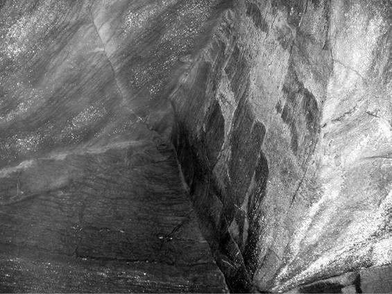 Иллюстрация к книге — Шестое вымирание [i_037.jpg]