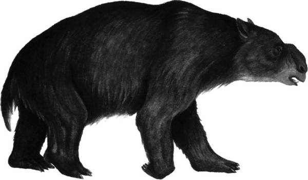 Иллюстрация к книге — Шестое вымирание [i_039.jpg]