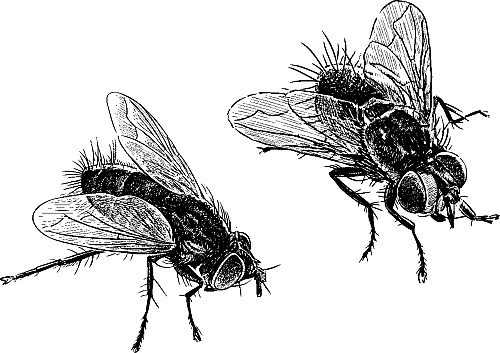 Иллюстрация к книге — Лесная сказка. С вопросами и ответами для почемучек [i_034.jpg]