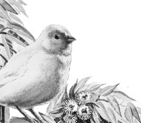 Иллюстрация к книге — Лесная сказка. С вопросами и ответами для почемучек [i_042.jpg]