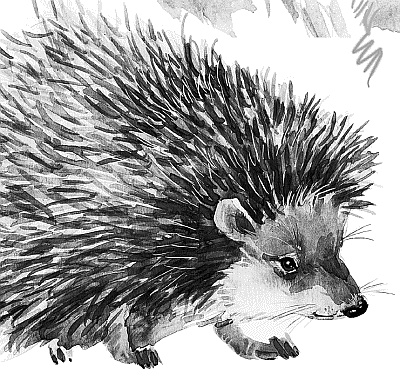 Иллюстрация к книге — Лесная сказка. С вопросами и ответами для почемучек [i_065.jpg]