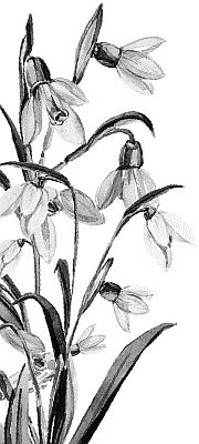 Иллюстрация к книге — Лесная сказка. С вопросами и ответами для почемучек [i_073.jpg]