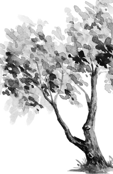 Иллюстрация к книге — Лесная сказка. С вопросами и ответами для почемучек [i_085.jpg]