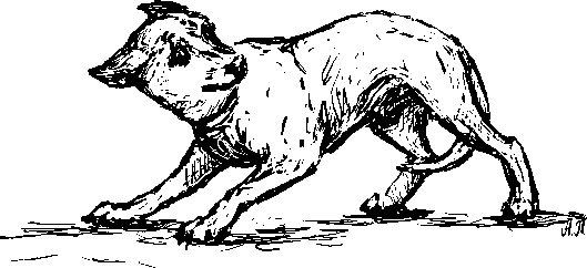 Иллюстрация к книге — Лесная сказка. С вопросами и ответами для почемучек [i_098.jpg]