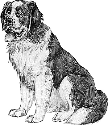 Иллюстрация к книге — Лесная сказка. С вопросами и ответами для почемучек [i_109.jpg]