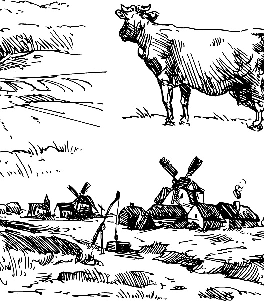 Иллюстрация к книге — Лесная сказка. С вопросами и ответами для почемучек [i_111.jpg]