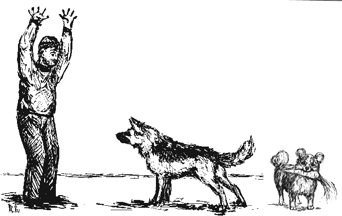 Иллюстрация к книге — Лесная сказка. С вопросами и ответами для почемучек [i_129.jpg]