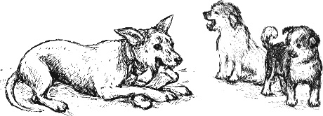 Иллюстрация к книге — Лесная сказка. С вопросами и ответами для почемучек [i_130.jpg]