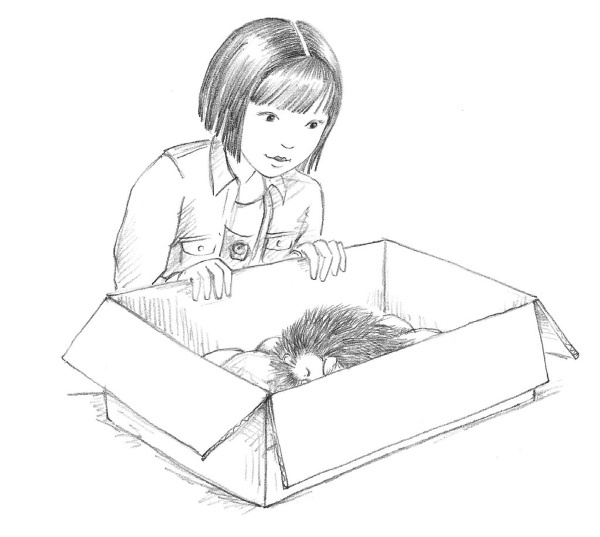 Иллюстрация к книге — Ежонок Эмили, или Корона для умницы [i_004.jpg]