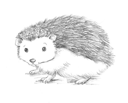 Иллюстрация к книге — Ежонок Эмили, или Корона для умницы [i_007.jpg]