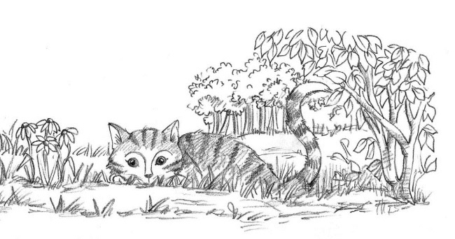 Иллюстрация к книге — Ежонок Эмили, или Корона для умницы [i_047.jpg]