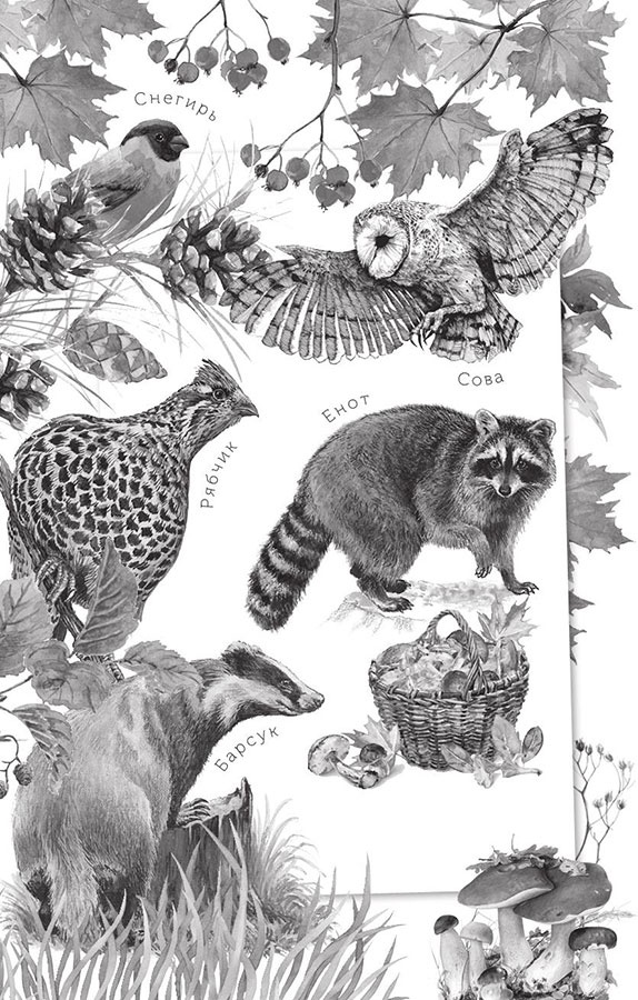 Иллюстрация к книге — Рассказы о родной природе [i_002.jpg]