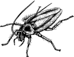 Иллюстрация к книге — Рассказы о родной природе [i_020.jpg]