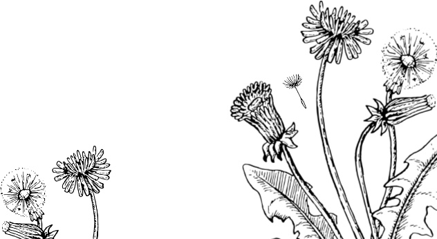 Иллюстрация к книге — Рассказы о родной природе [i_022.jpg]