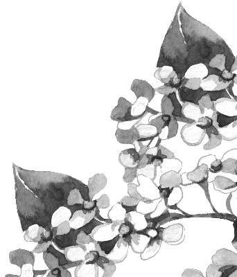 Иллюстрация к книге — Рассказы о родной природе [i_024.jpg]