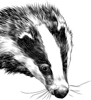 Иллюстрация к книге — Рассказы о родной природе [i_025.jpg]