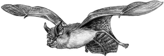 Иллюстрация к книге — Рассказы о родной природе [i_038.jpg]