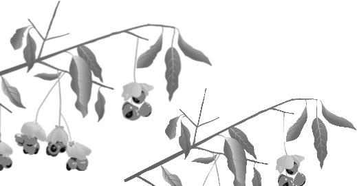 Иллюстрация к книге — Рассказы о родной природе [i_053.jpg]