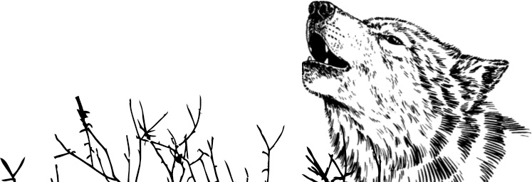 Иллюстрация к книге — Рассказы о родной природе [i_069.jpg]