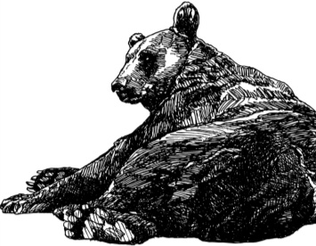 Иллюстрация к книге — Рассказы о родной природе [i_074.jpg]