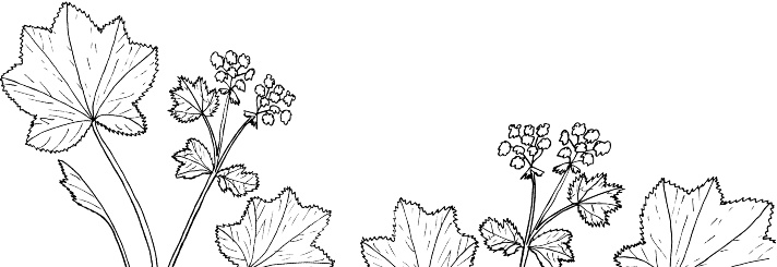 Иллюстрация к книге — Рассказы о родной природе [i_075.jpg]