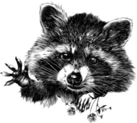 Иллюстрация к книге — Рассказы о родной природе [i_087.jpg]