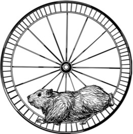 Иллюстрация к книге — Рассказы о родной природе [i_098.jpg]