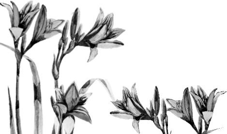 Иллюстрация к книге — Рассказы о родной природе [i_111.jpg]