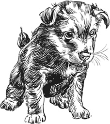 Иллюстрация к книге — Рассказы о родной природе [i_113.jpg]