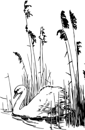 Иллюстрация к книге — Рассказы о родной природе [i_114.jpg]