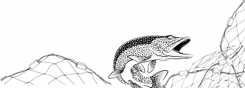 Иллюстрация к книге — Рассказы о родной природе [i_115.jpg]