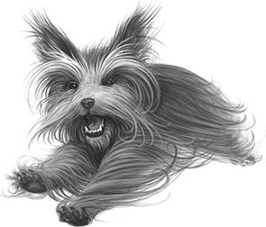 Иллюстрация к книге — Верные. Книга 1. Когда исчезли все люди [i_007.jpg]