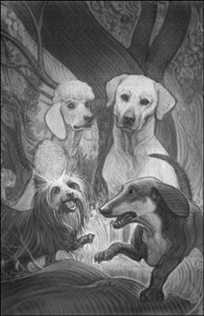 Иллюстрация к книге — Верные. Книга 1. Когда исчезли все люди [i_016.jpg]