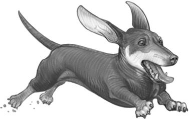 Иллюстрация к книге — Верные. Книга 1. Когда исчезли все люди [i_018.jpg]