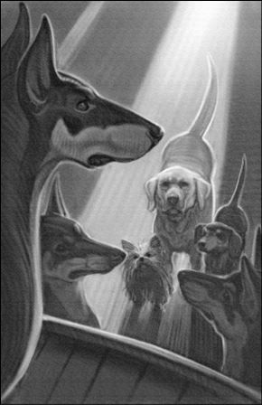 Иллюстрация к книге — Верные. Книга 1. Когда исчезли все люди [i_034.jpg]