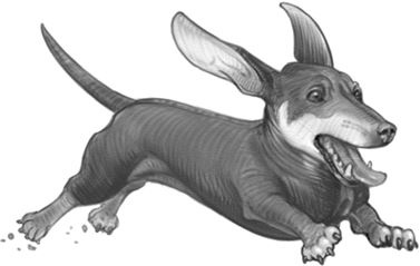 Иллюстрация к книге — Верные. Книга 1. Когда исчезли все люди [i_035.jpg]