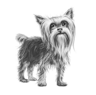 Иллюстрация к книге — Верные. Книга 2. Тайна трёх колец [i_005.jpg]