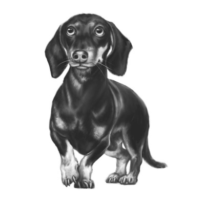 Иллюстрация к книге — Верные. Книга 2. Тайна трёх колец [i_006.jpg]