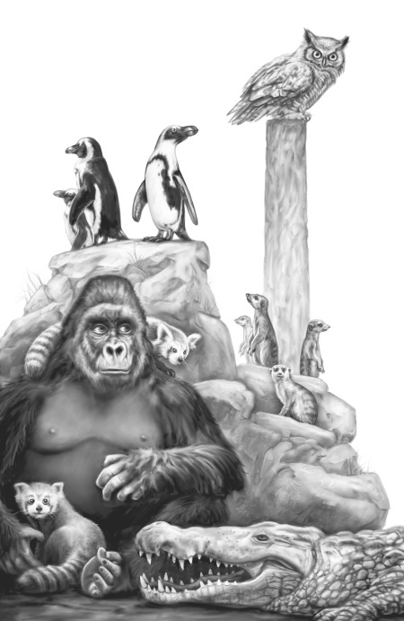 Иллюстрация к книге — Верные. Книга 2. Тайна трёх колец [i_022.jpg]